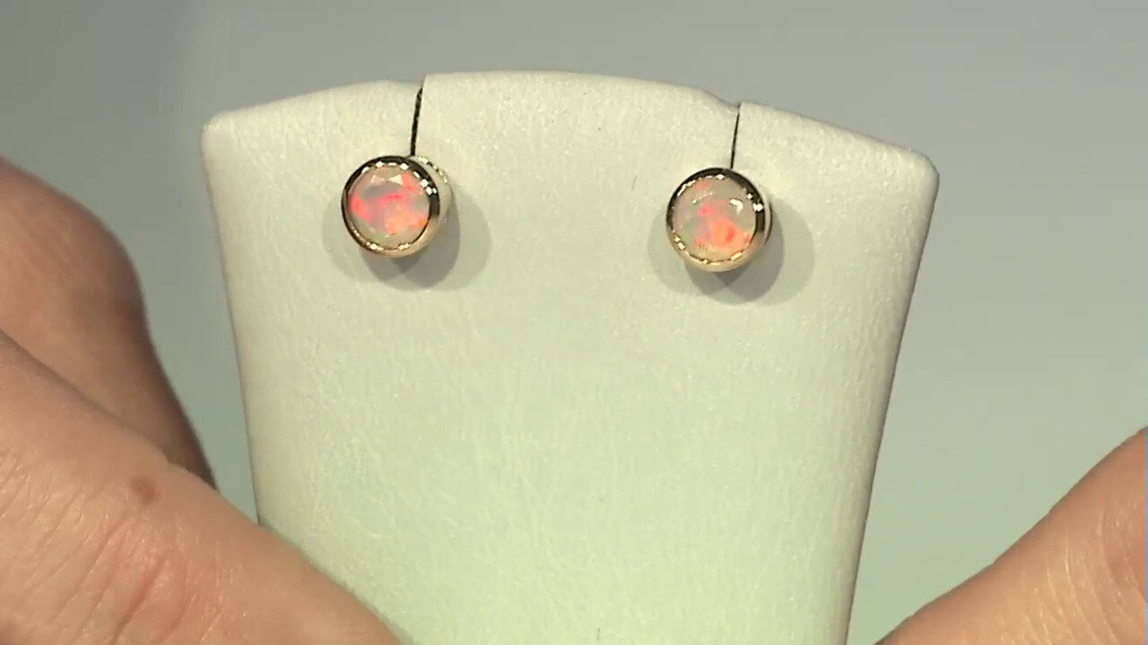 Video 14K Welo Opal Gold Earrings