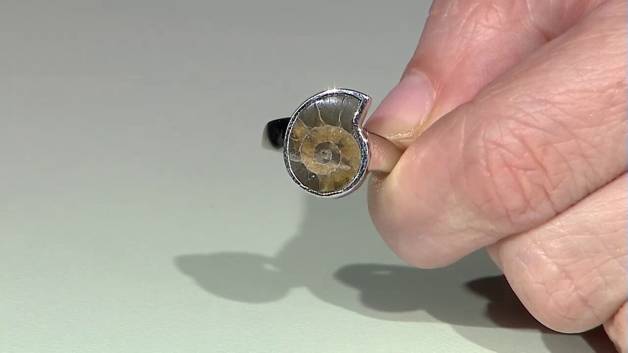 Video Ammonite Silver Ring