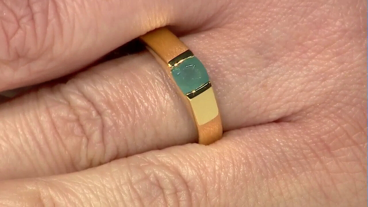 Video Zilveren ring met een Grandidieriet